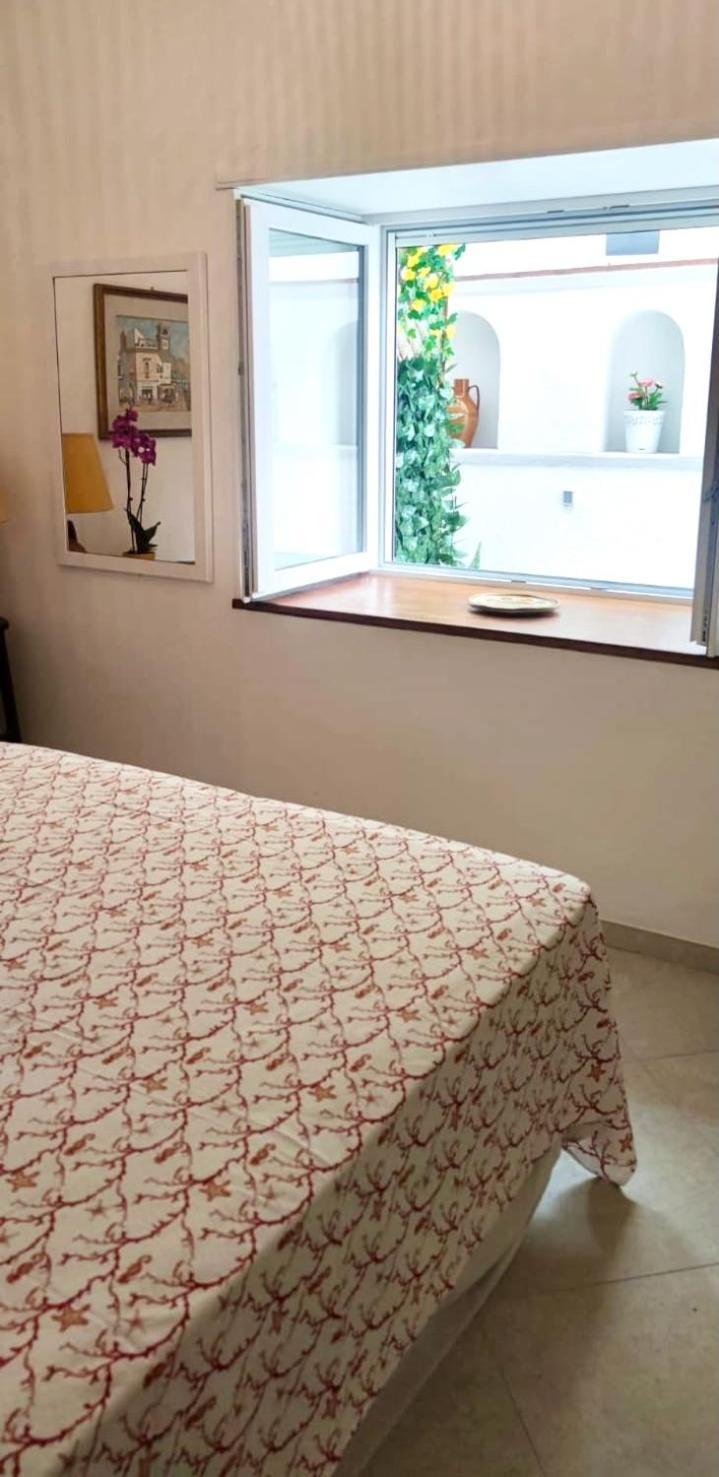 Apartment Lusi House