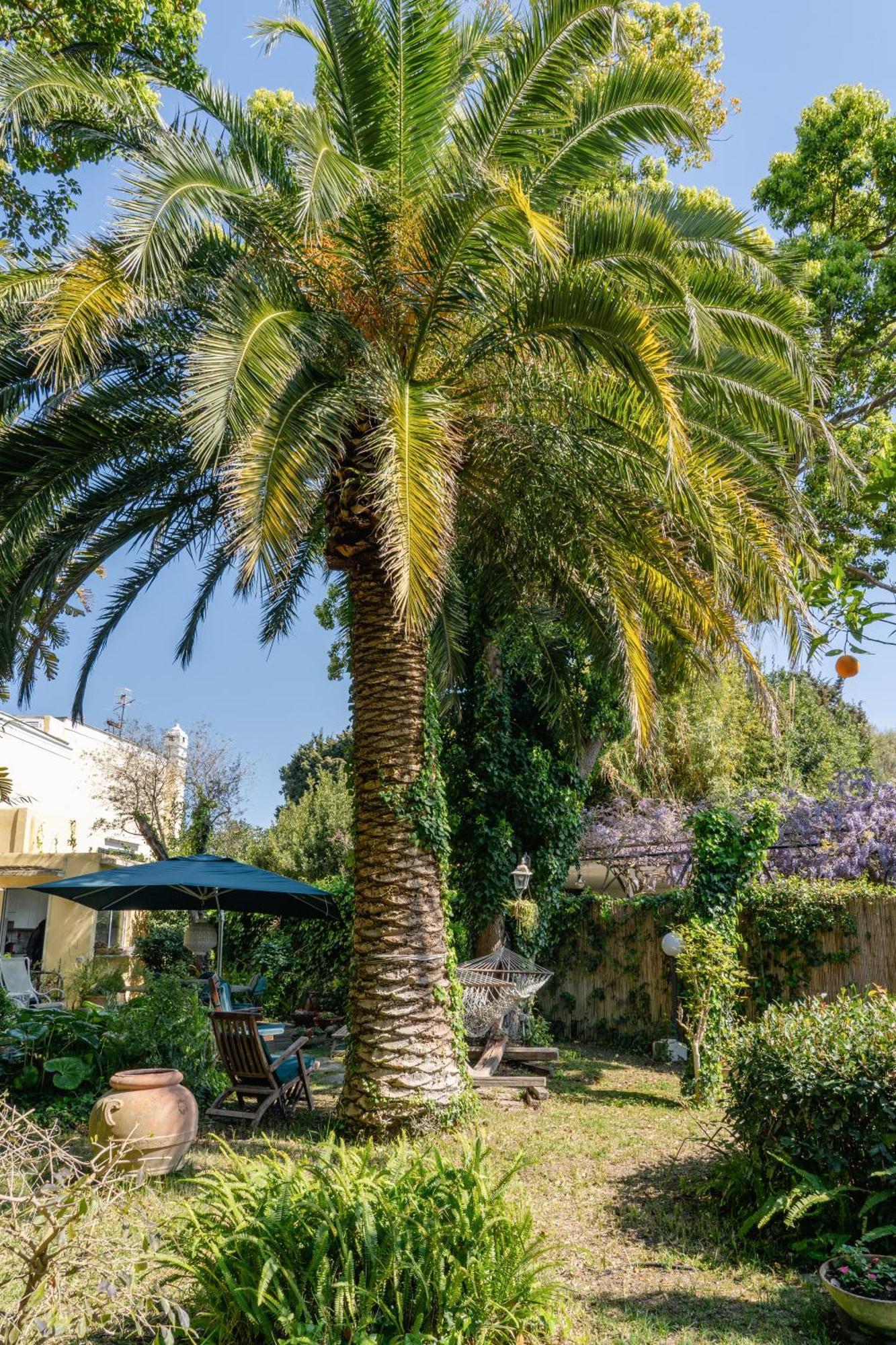 Aurora Caprese Villa