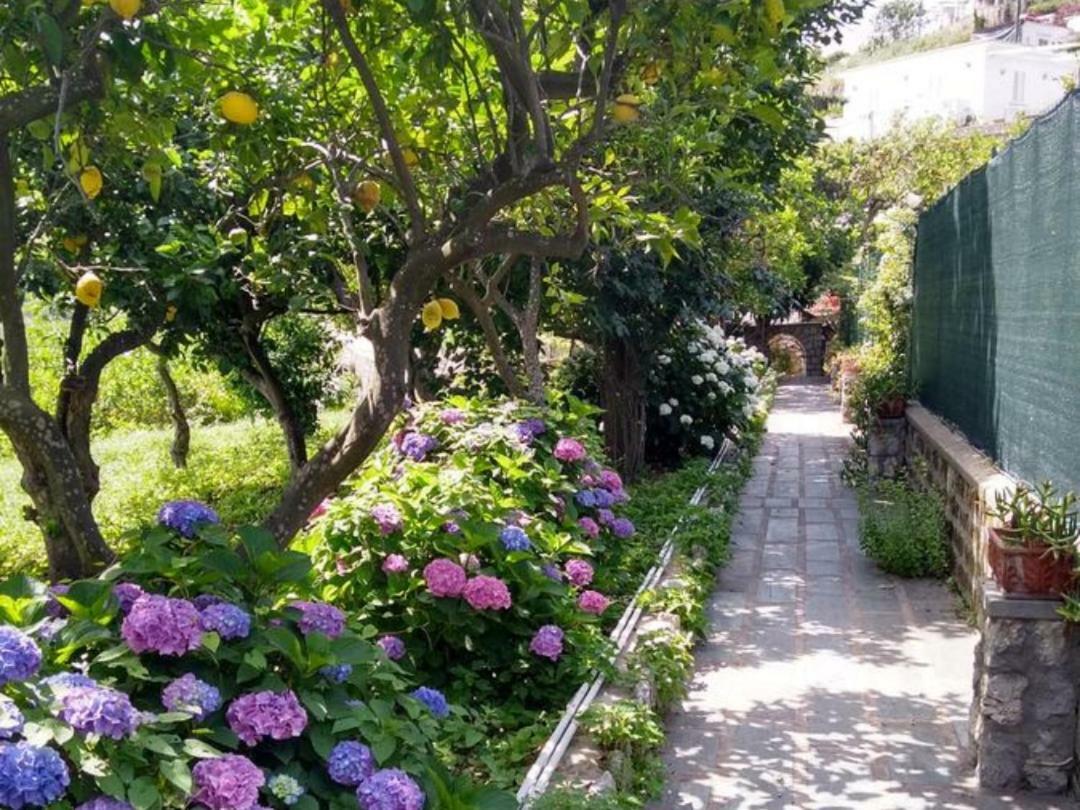 Casa Paolina - *