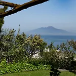 Capri Tiberio\'S Dream