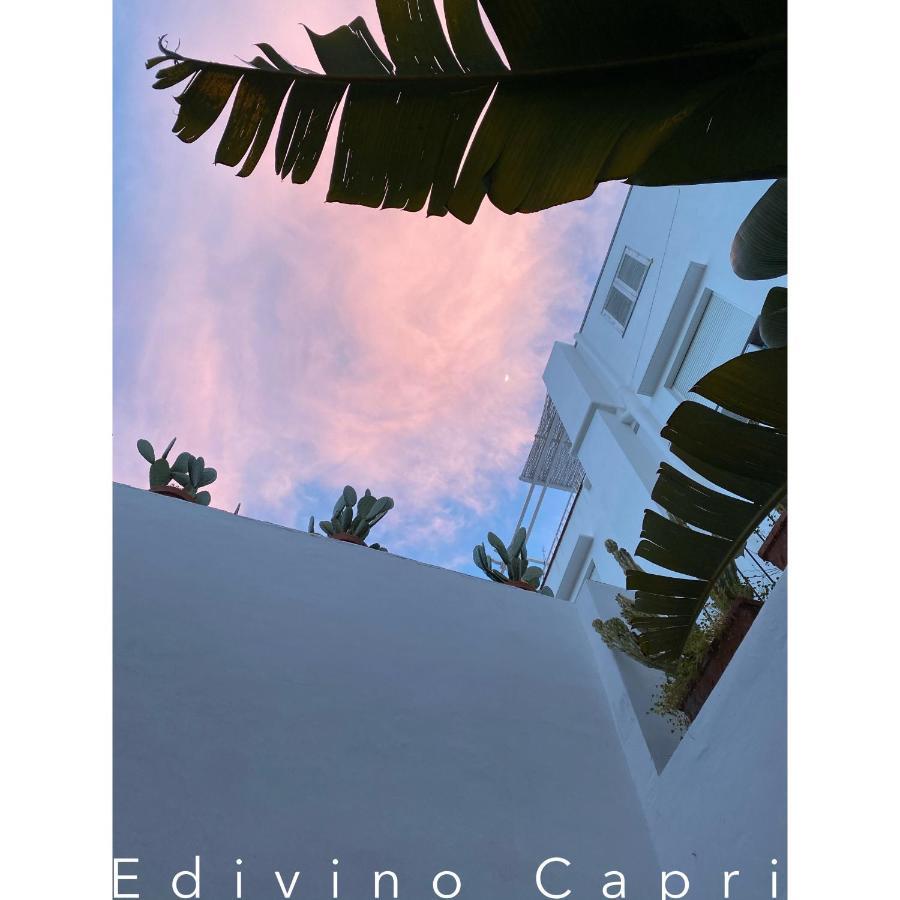 Edivino Design Oda ve Kahvaltı Capri