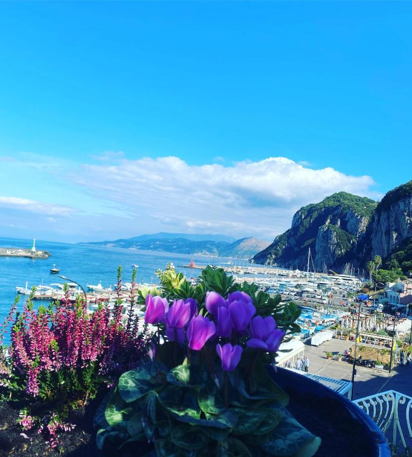 La Baia Di Napoli Capri