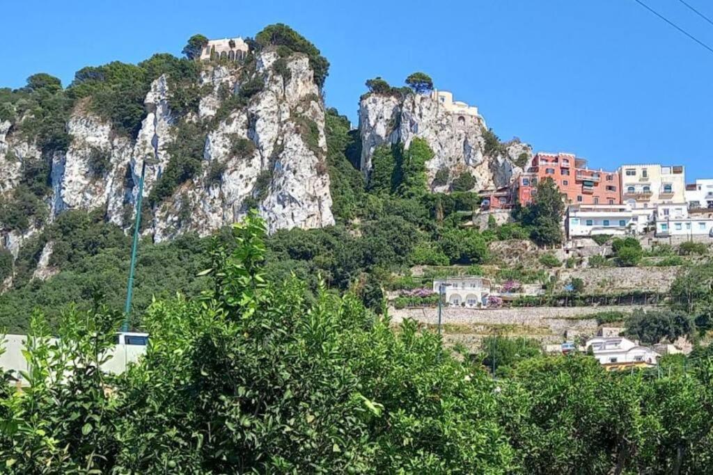 Apartment La Corte Fra Gli Aranci -