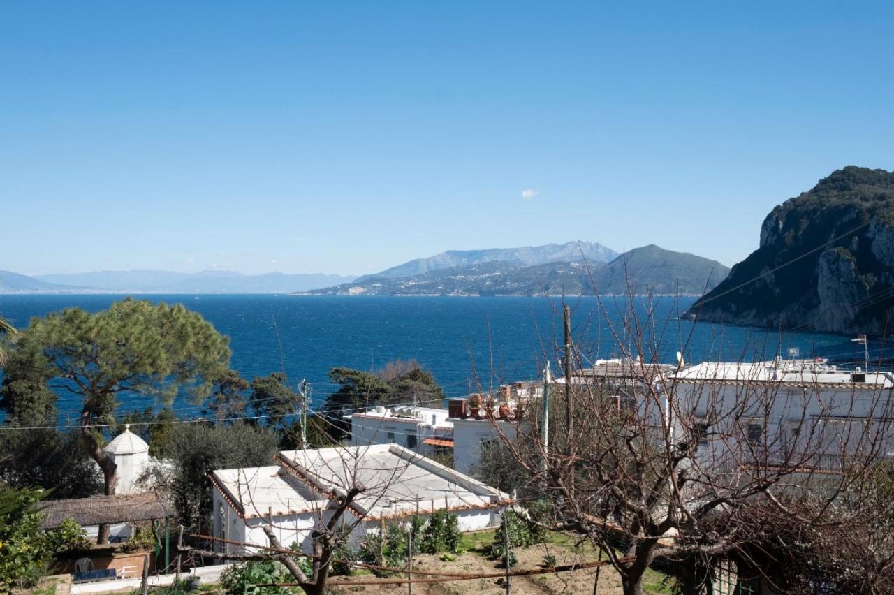 My Seaview Capri