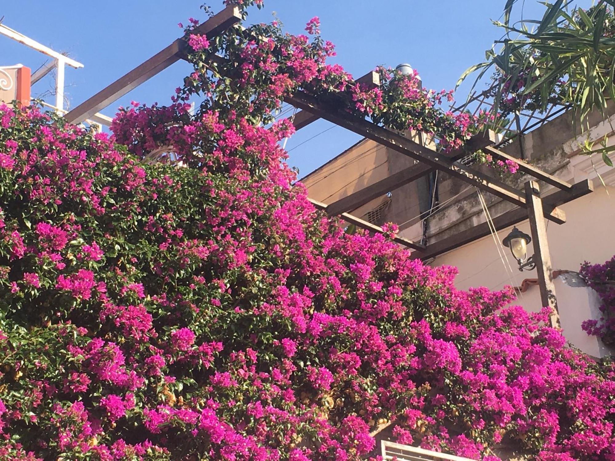 Luxury House In Pompeiana Via Camerelle Con Terrazza Vista Mare