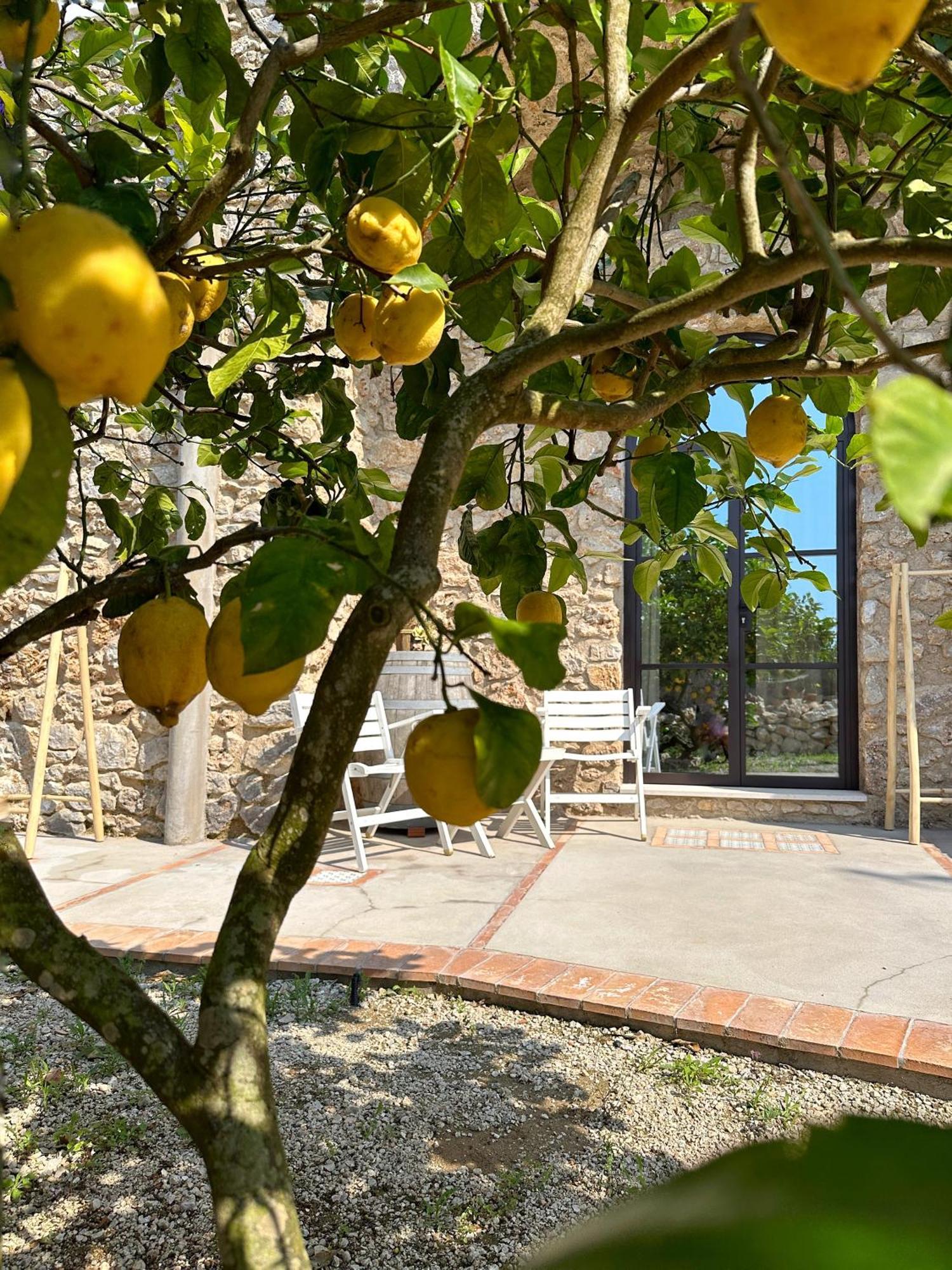 Pasquale Guest house