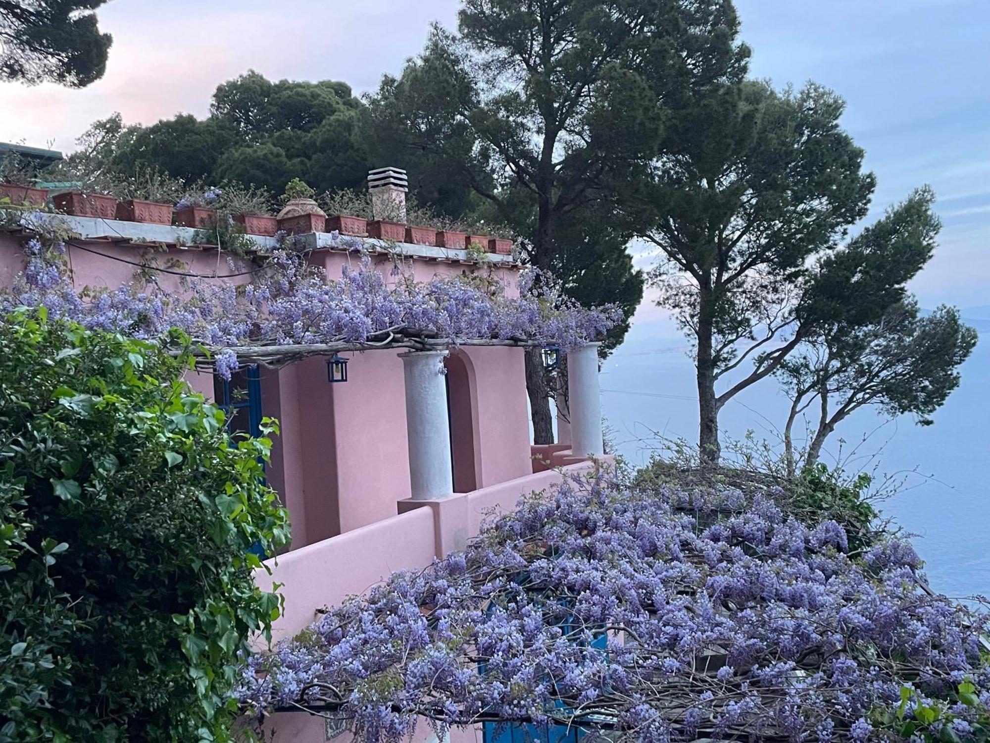 La Casa Nel Bosco