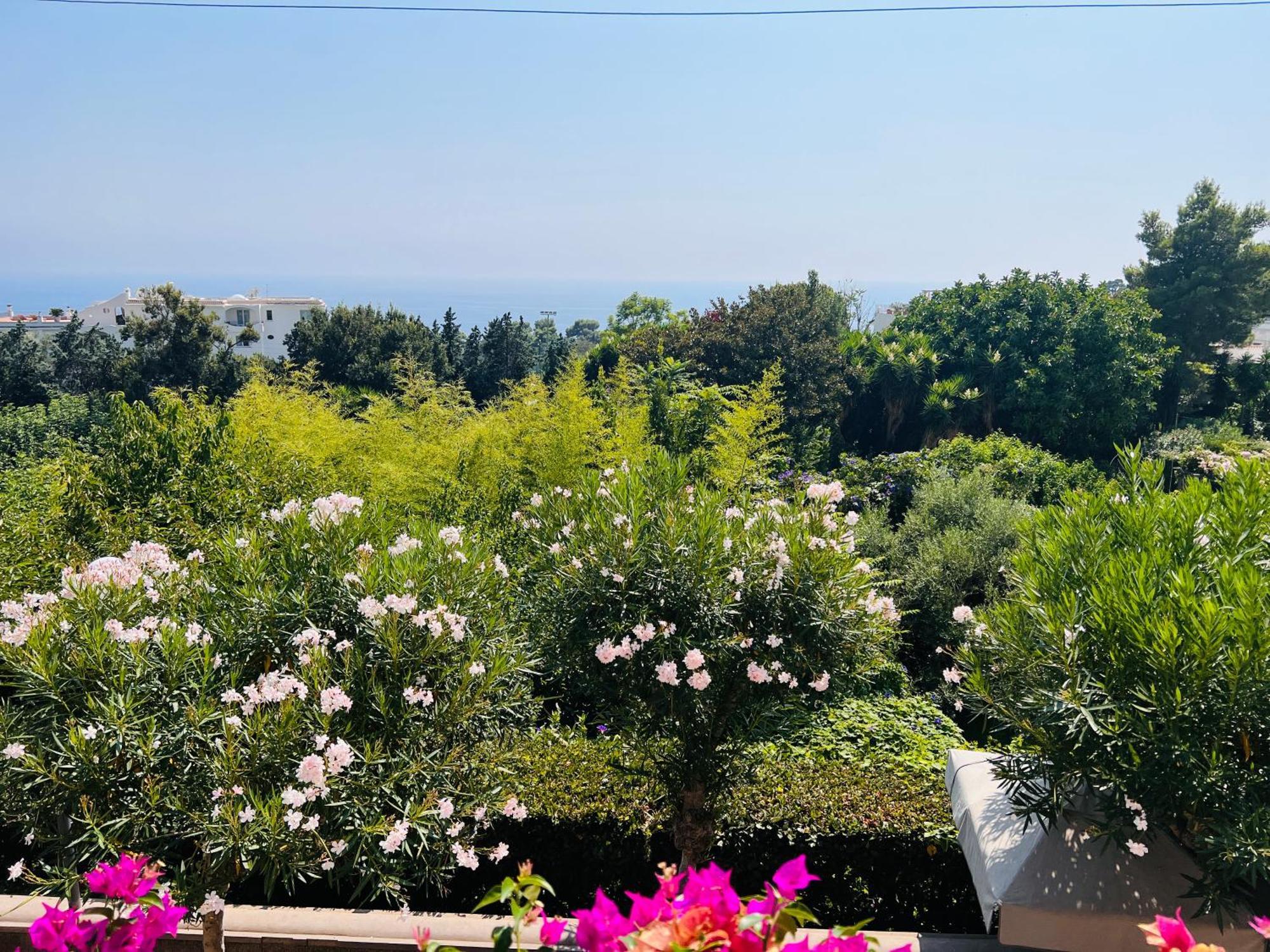 Luxury House In Pompeiana Via Camerelle Con Terrazza Vista Mare Capri