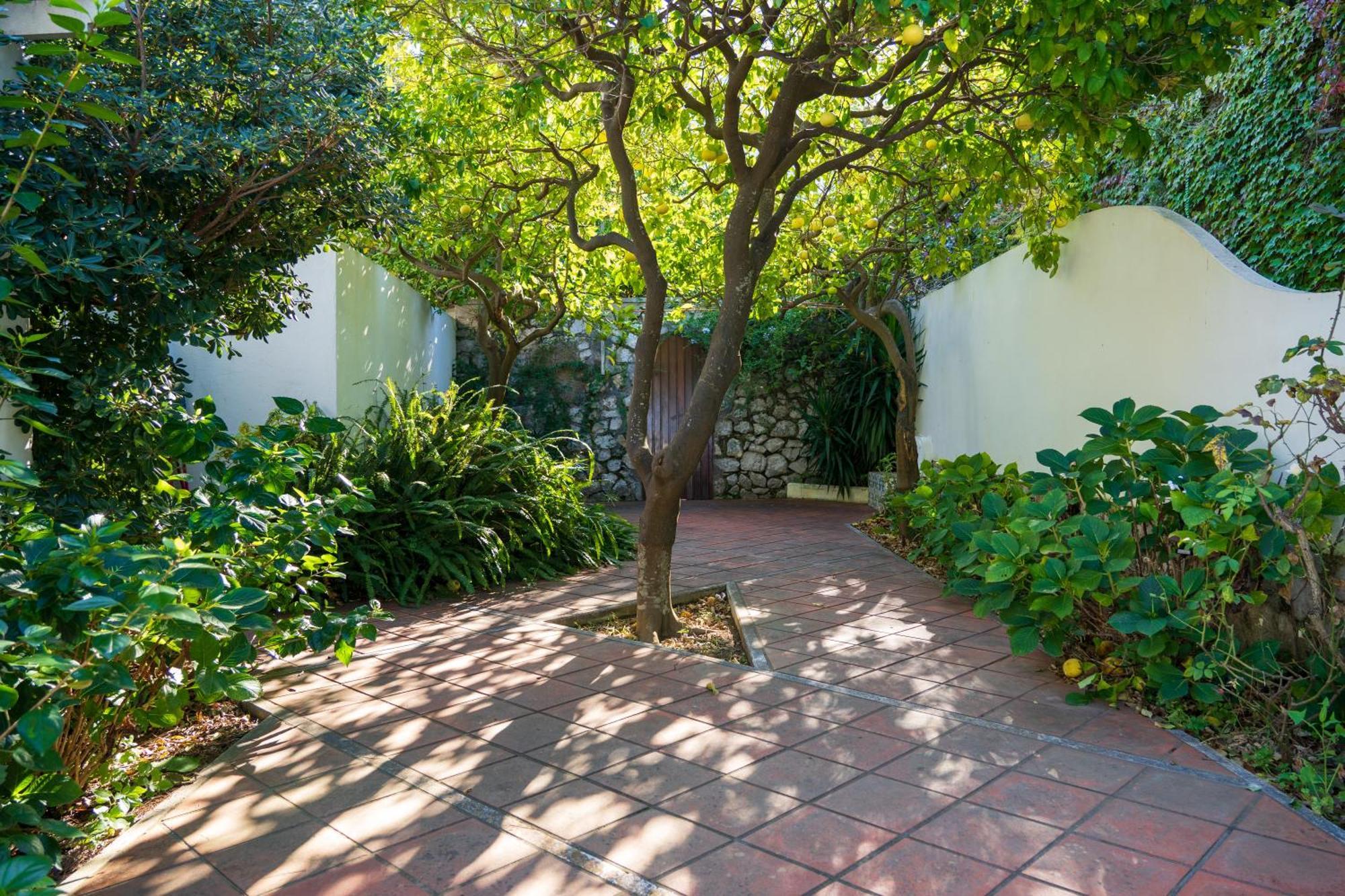 Holiday home Livia Capri