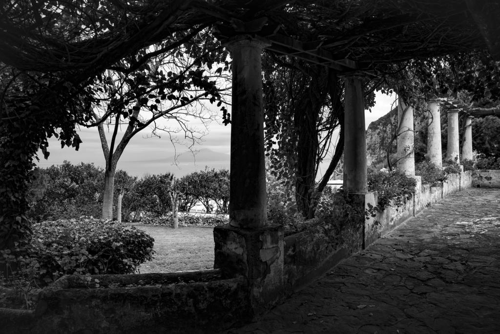Tiberio's Dream Gasthof *