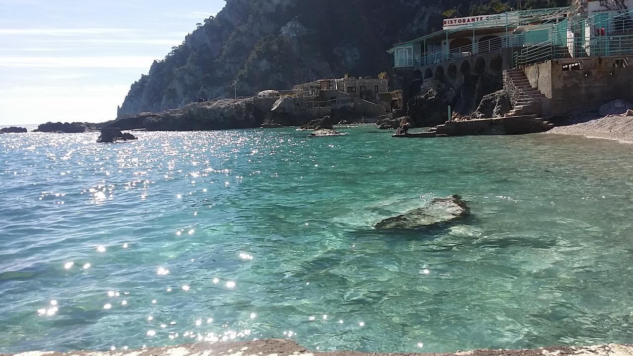 Hotel Nautilus
