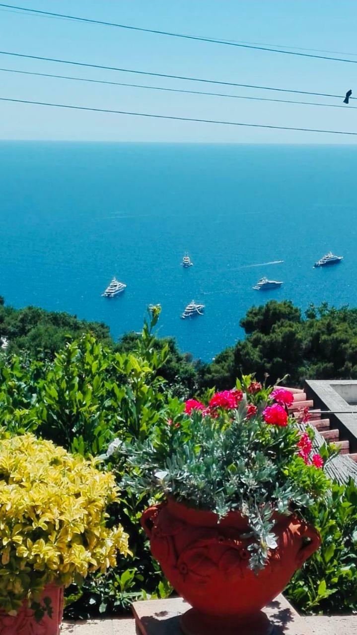 Apartment Sea View Capri