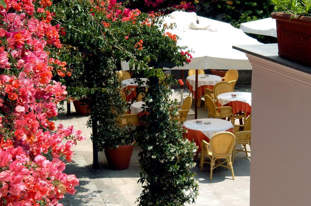Canasta Hotel