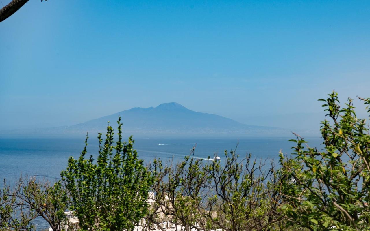 Tiberio's Dream Gasthof Capri