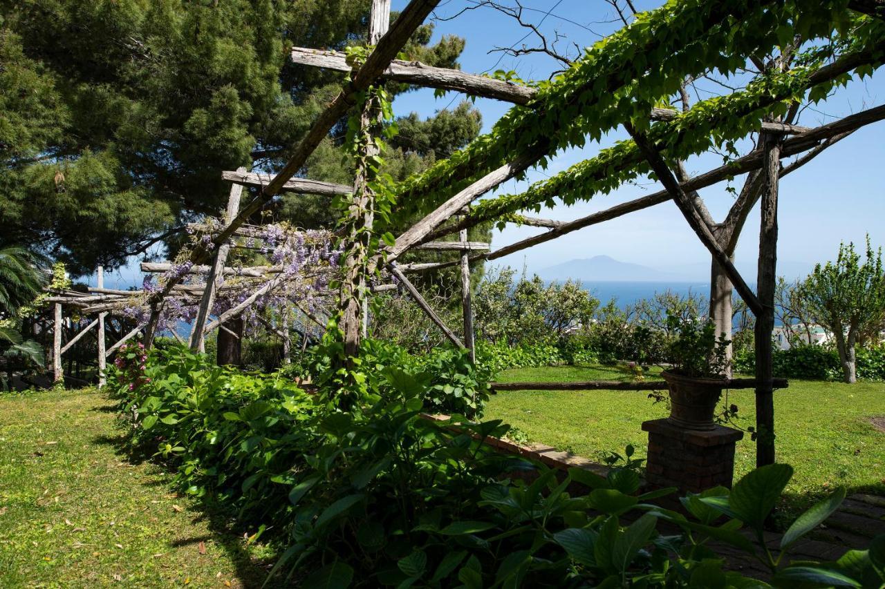 Tiberio's Dream Gasthof Capri