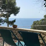 Oliveto Capri Apartments