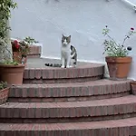 La Musa Bed&Breakfast