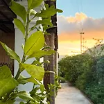 Il Cigno B&B