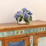 Regina di Capri - Sopramonte -
