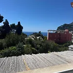 Capri Joy