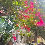 Villa La Perla Capri