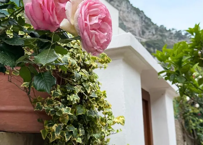 Il Cigno B&B
