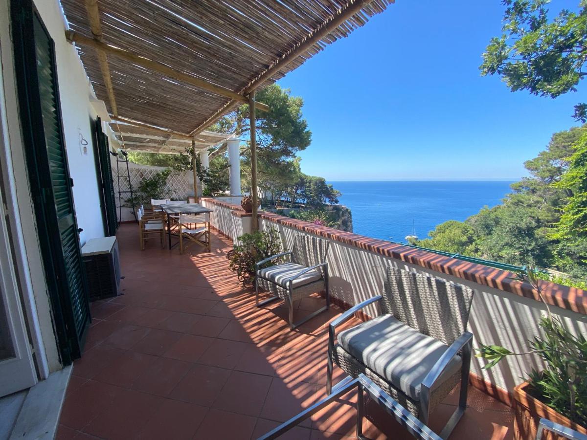 Regina Di - Occhio Marino - Capri