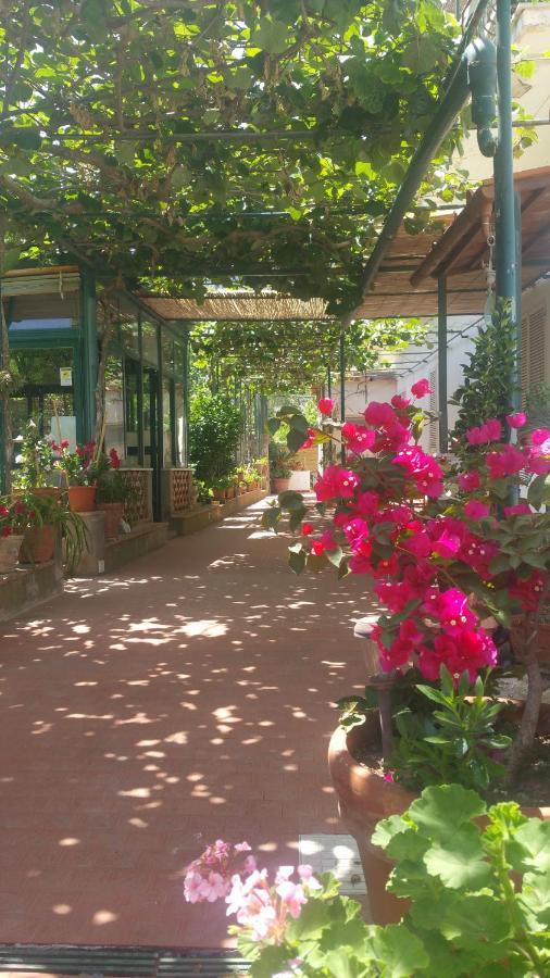 Dei Fiori Oda ve Kahvaltı Capri