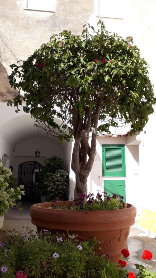 Gasthof Civico13