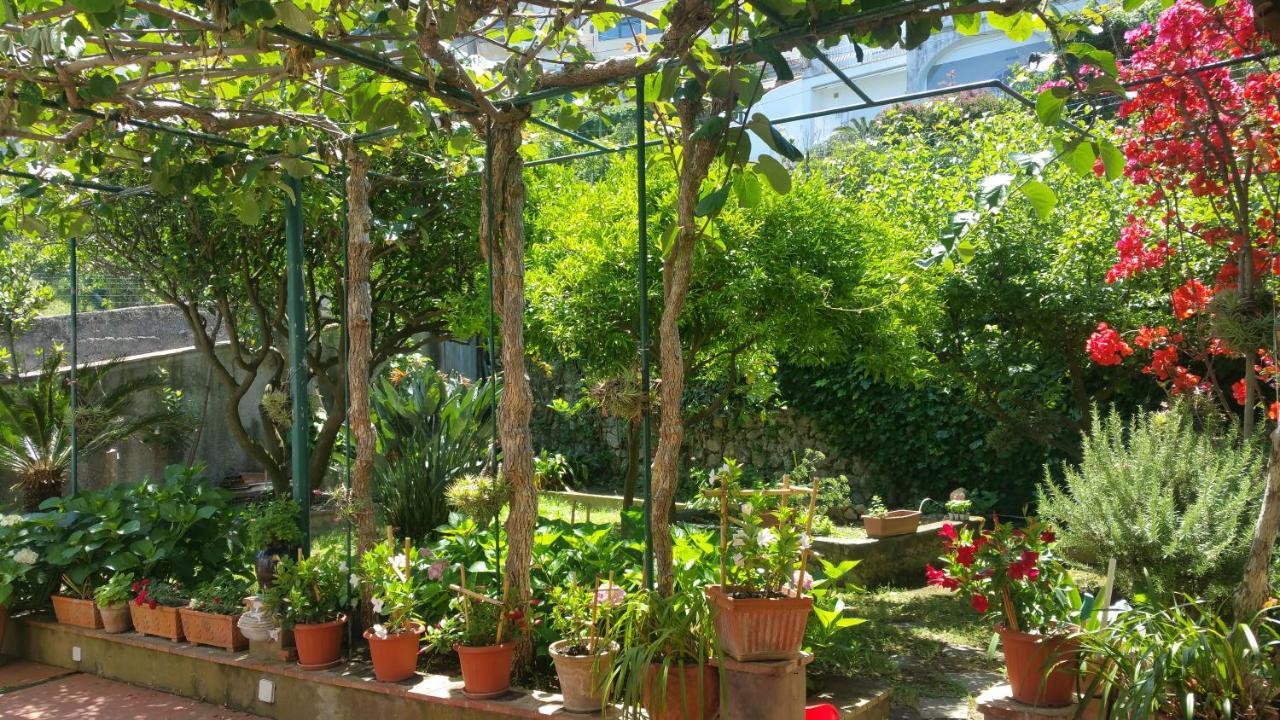 Dei Fiori *