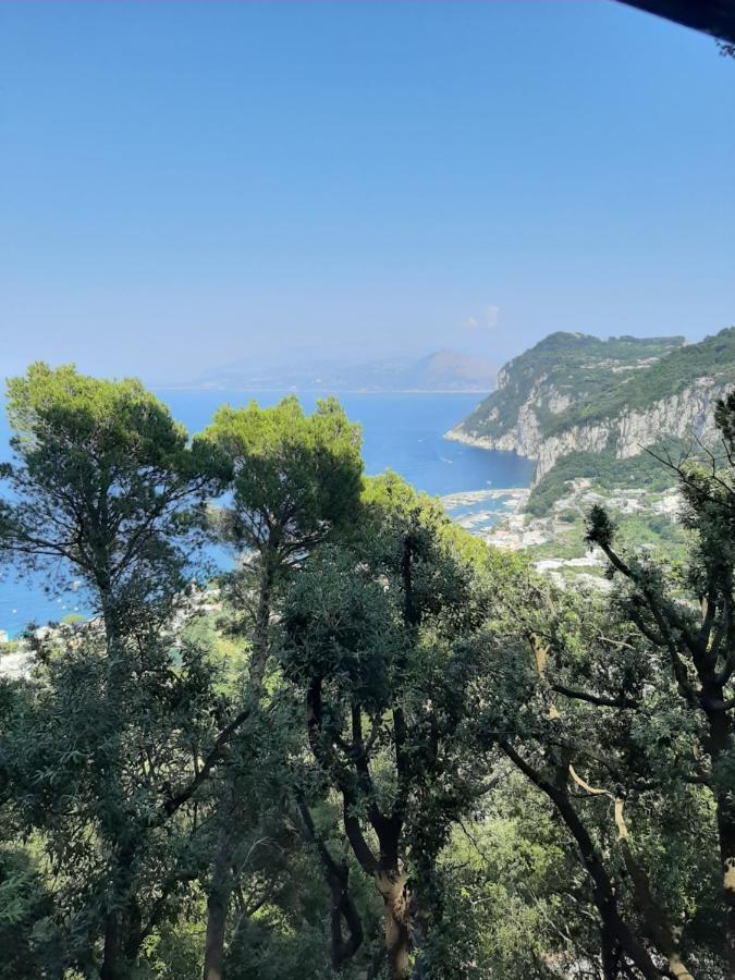 Affittacamere La Casa Nel Bosco *