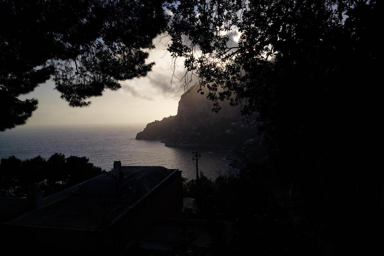 Villacore