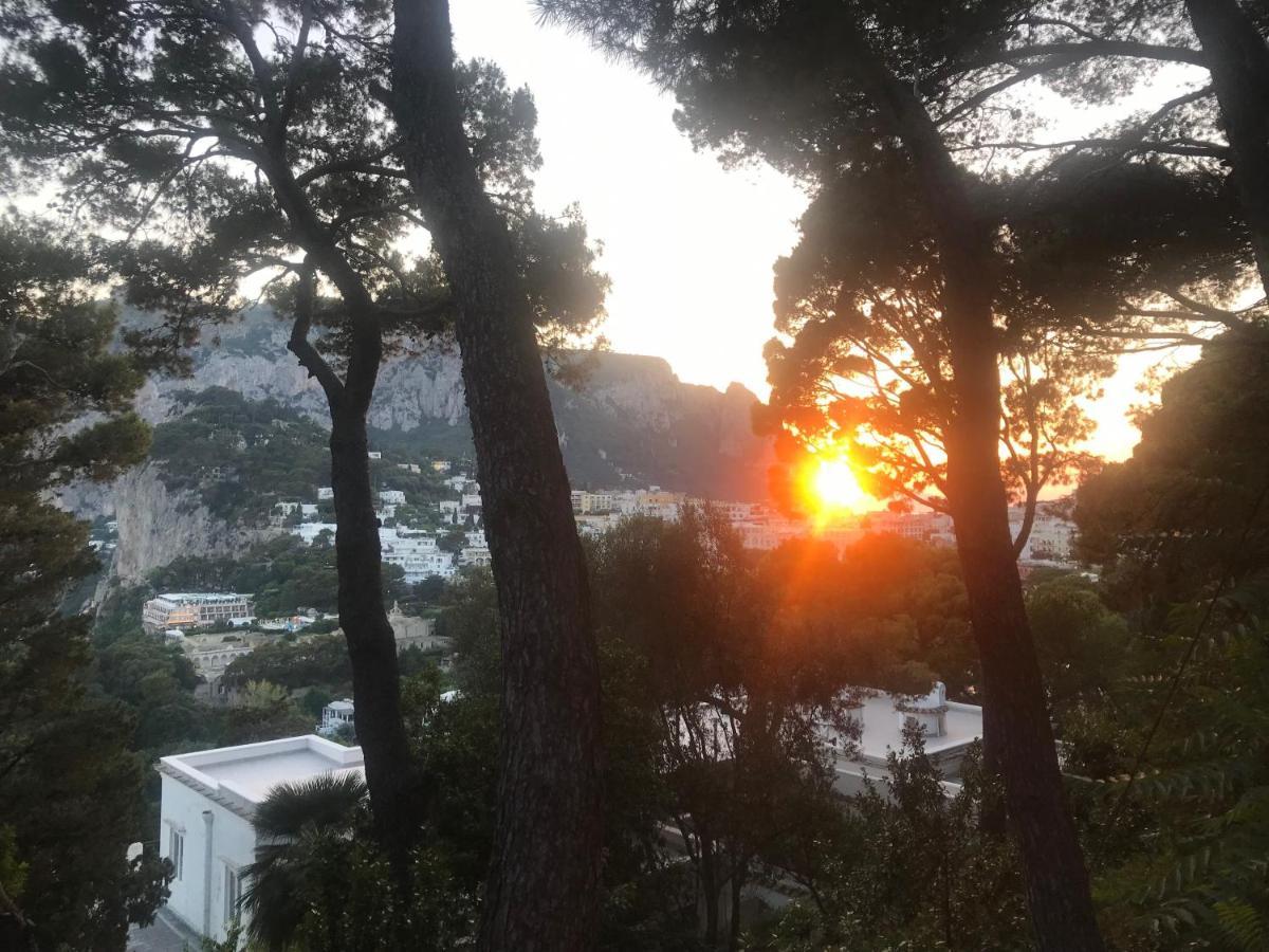Guya * Capri