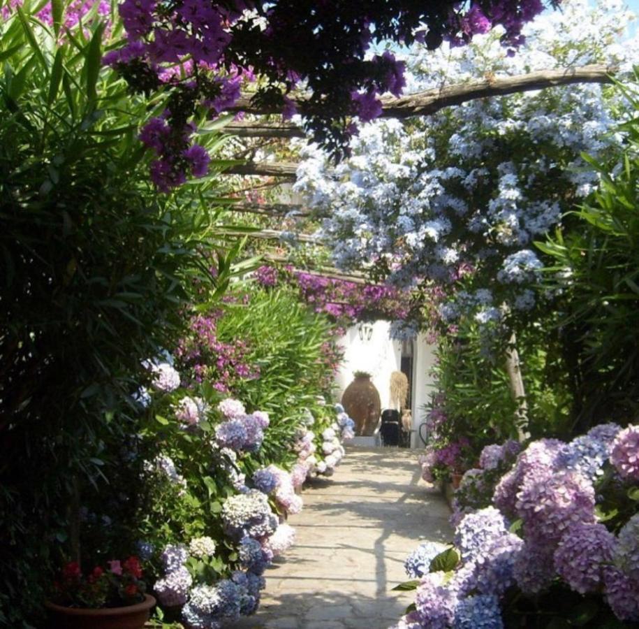 Gasthof Marunnella 2*