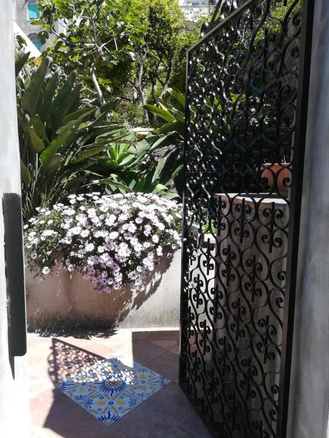 Dorothee Guest house *