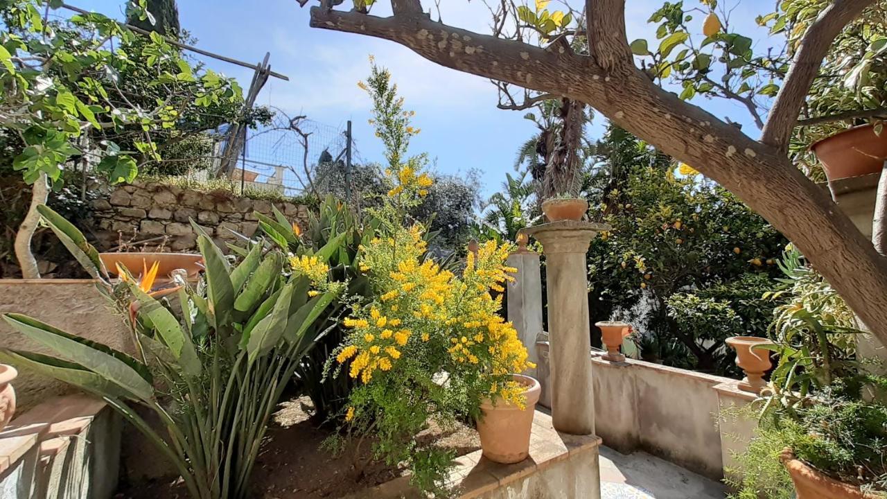 Dorothee * Capri
