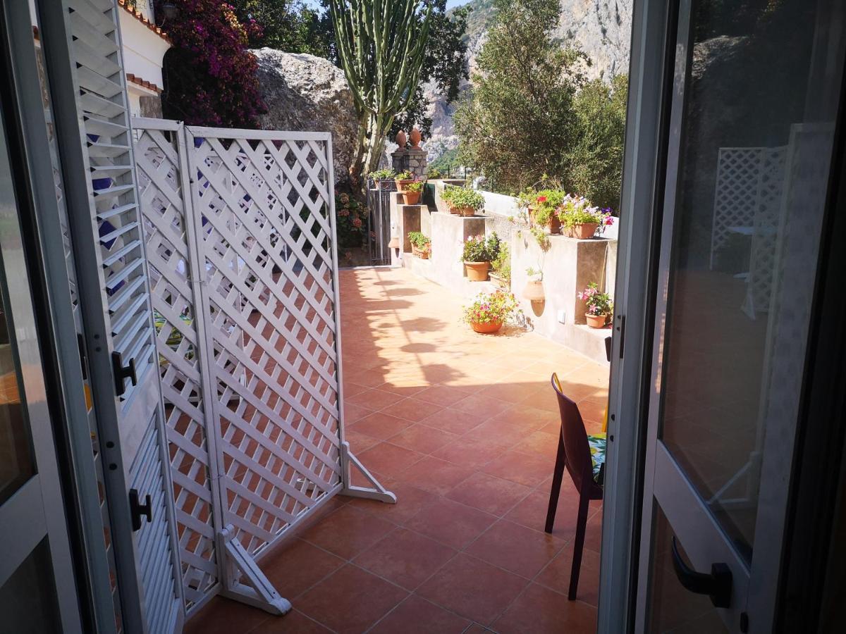 Affittacamere Palomba Capri