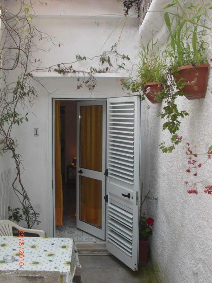 Palomba *