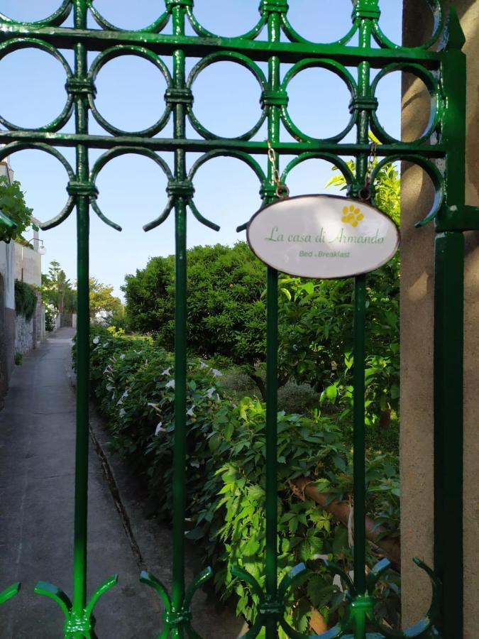 La Casa Di Armando *