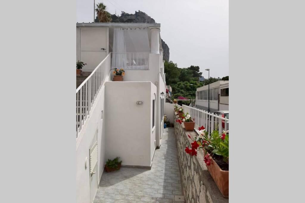 Casa Martule