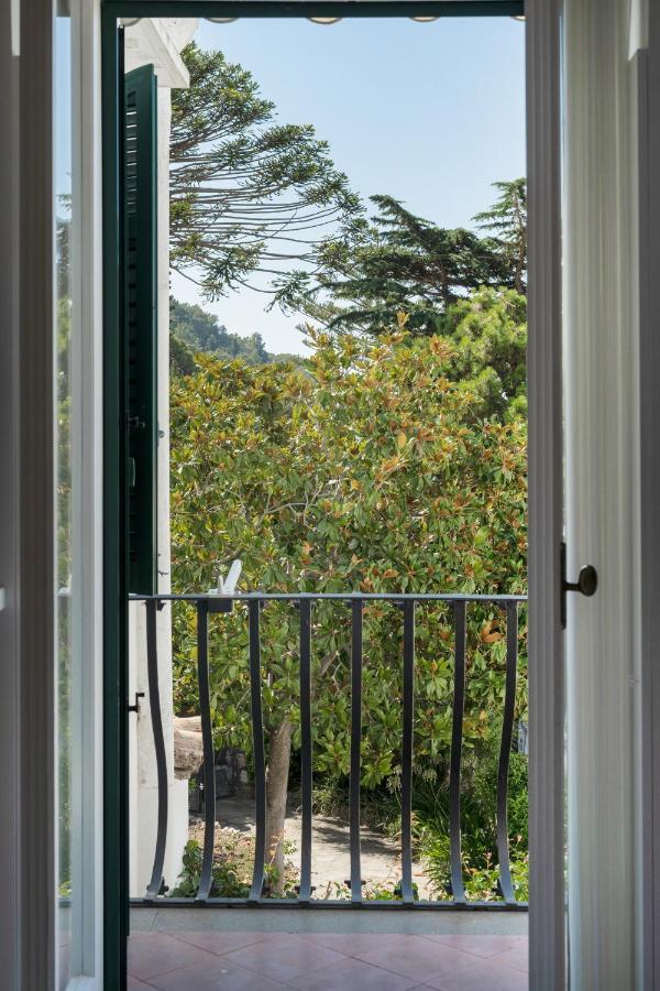 Apartment Azzurra, *