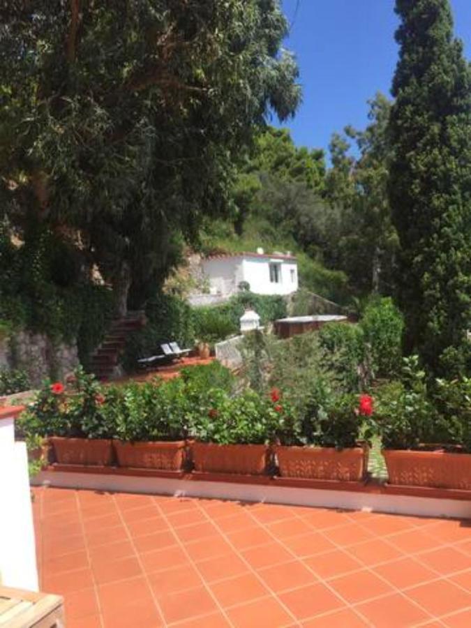 Villa Paradise Capri