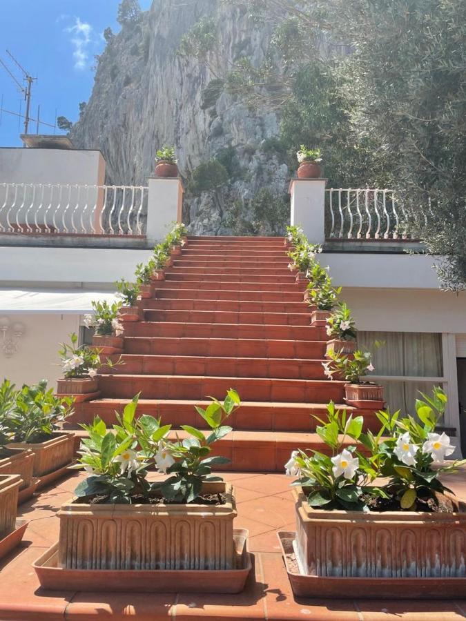 Paradise * Capri