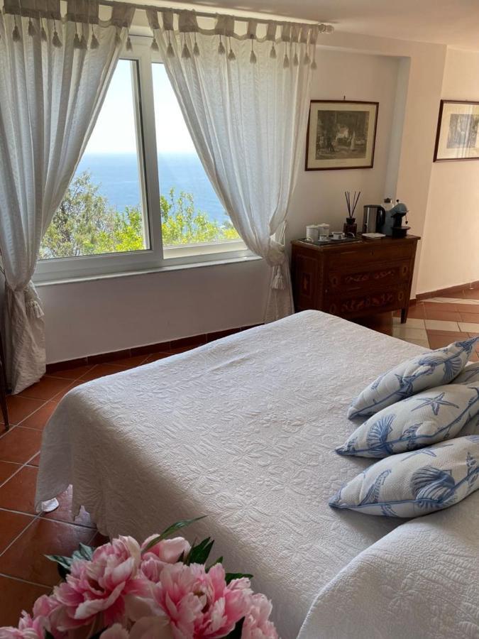 Villa Paradise