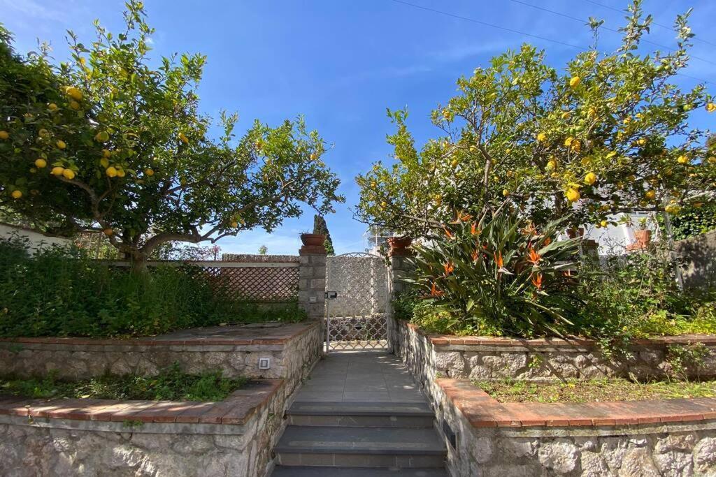 I Limoni Holiday home