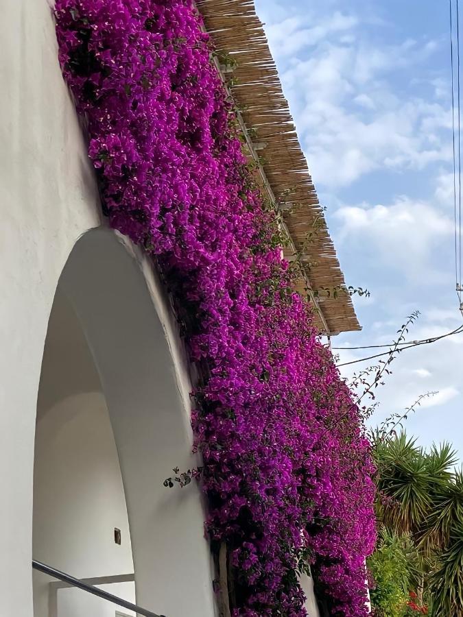 Roberhouse Tragara 37 *