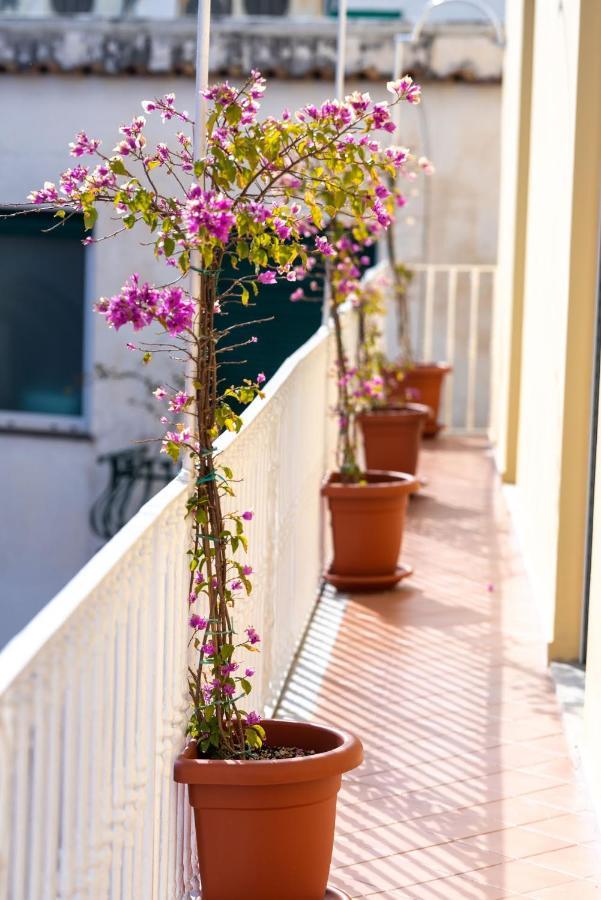 Cocor Villa