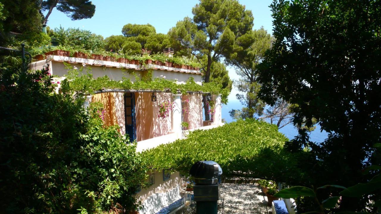 La Casa Nel Bosco Guest house Capri