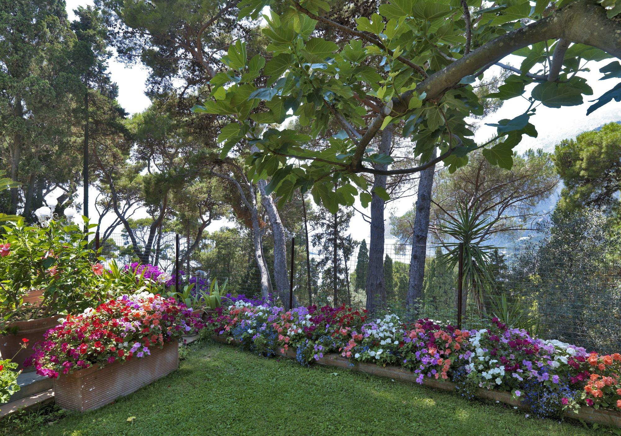 Brunella Capri