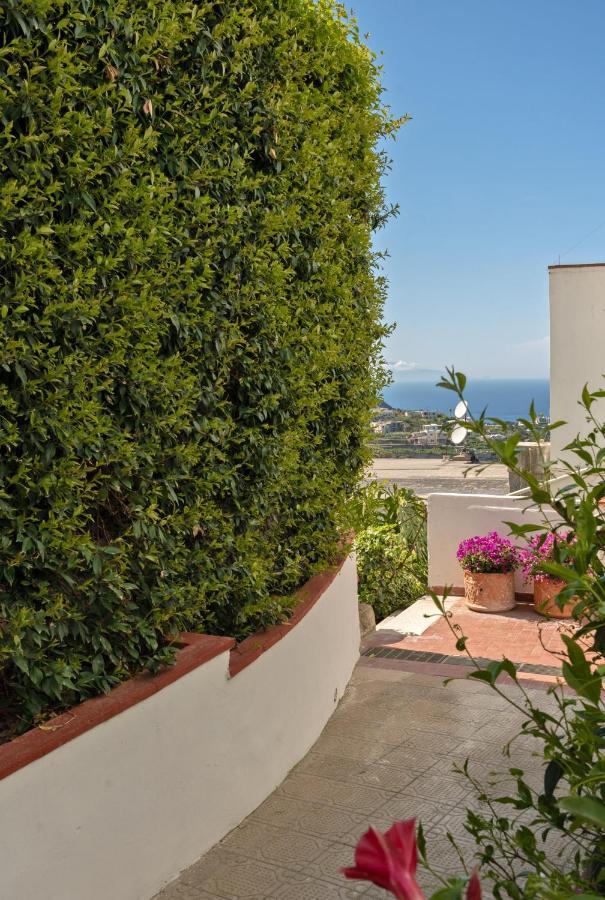 Town Apartment Capri